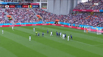world cup japan GIF by nss sports