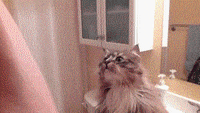Rushing To Get Ready Gifs Get The Best Gif On Giphy Rushing To Get Ready Gifs Get The Best Gif On Giphy