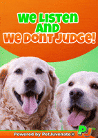 Listen Up Trending GIF by PetJuvenate - PJ