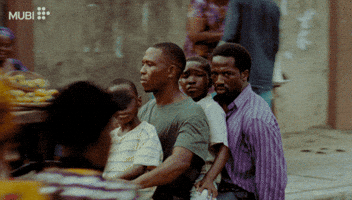 Film Cinema GIF by MUBI