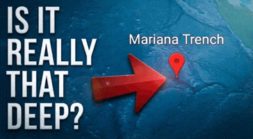 Who Is She Mariana Trench GIF