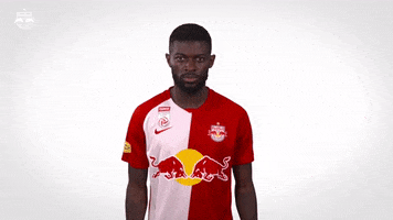 Ready To Rumble Fight GIF by FC Red Bull Salzburg