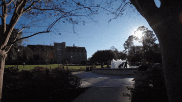 #fsu #floridastate #campus #landisgreen #fountain #noles #campus GIF by Florida State University