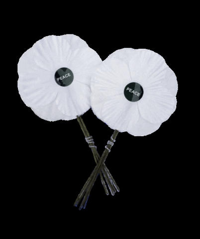 Peace Pledge Union GIF