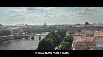 France Love GIF by Casol