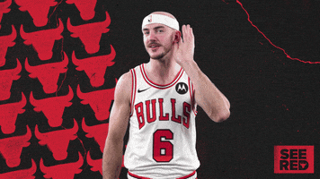 Alex Caruso What GIF by Chicago Bulls