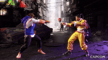 Video Game Fighting GIF by CAPCOM