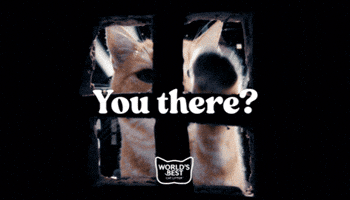 Catlove Worldsbest GIF by Worlds Best Cat Litter