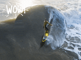 200.gif?cid=fc005b081459733d5672f65c25530d41579d409d90f484e1&rid=200.gif&ct=g
