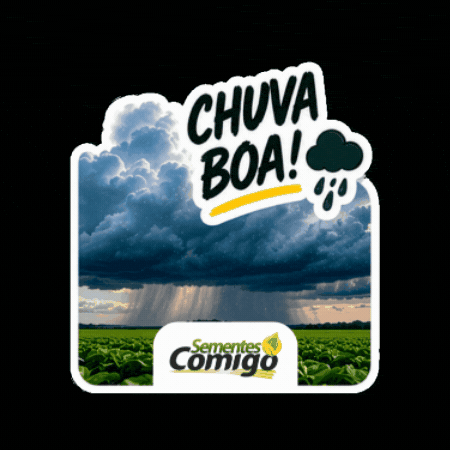 Chuva GIF by Cooperativa COMIGO