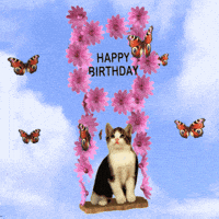 200.gif?cid=f0bdee70o8b6xhxaba2kw1lbsskklsxg94hykvuk2vcc24ub&rid=200.gif&ct=g