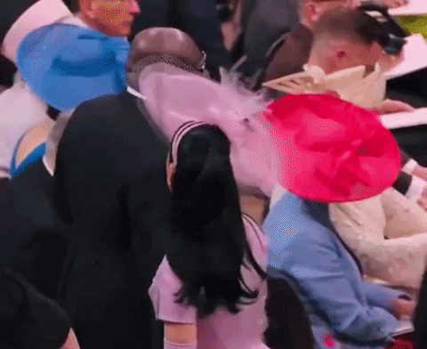 giphy.gif?cid=2154d3d74150a4481ddaa57d1392423c76c3f92be4ebba1d&ep=v1_gifs_username_username&rid=giphy.gif&ct=g