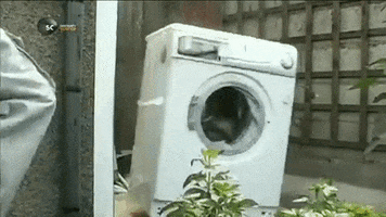 machine washing GIF