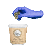 Lauren's Sugar and Spice Sticker