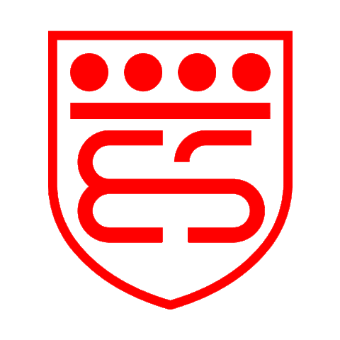 Brixiasupercars Sticker