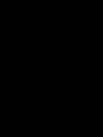 Glitch GIF