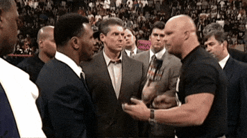 Steve Austin Middle Finger GIF