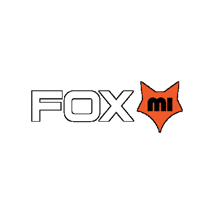 Lija Sticker by FOX electronics