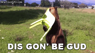 giphy.gif?cid=19f5b51a5d1612a3ba92640edf