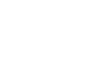 WiseberryHeritage Sticker