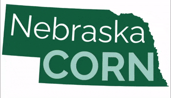 NebraskaCornBoard agriculture corn farming ag GIF
