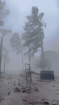 Hurricane Idalia Downs Basketball Net and Tree Branches in Southern Georgia
