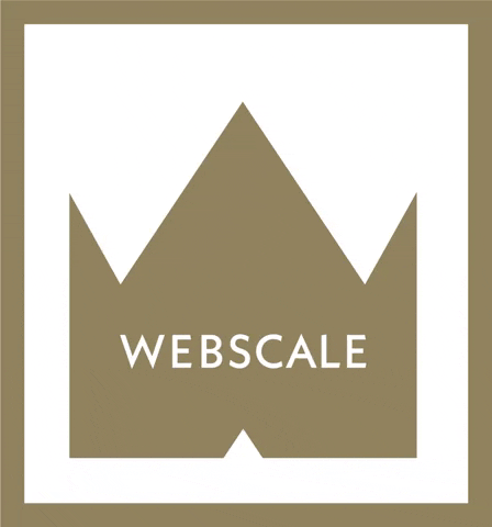GIF by Webscale