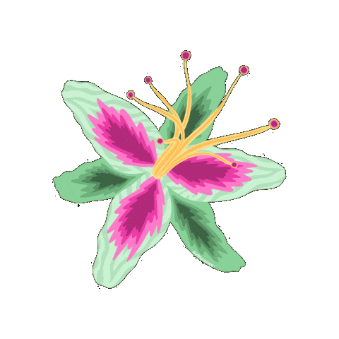 Flower Febrero Sticker