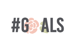 Goals Goal Getter Sticker by Meg Ortiz