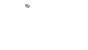OXI Instruments Sticker