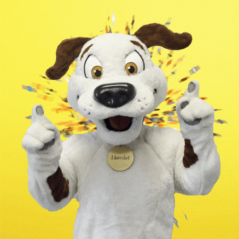 Hamlet Beggin GIF by PurinaUS