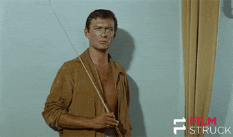 criterion collection vintage GIF by FilmStruck