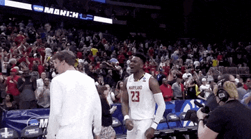 excited college basketball GIF by Maryland Terrapins