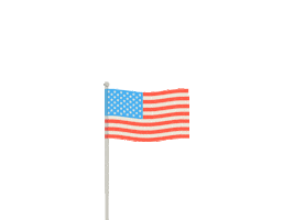 American Summer Sticker by YellaWood