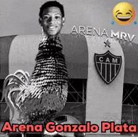 Galinheiro GIF