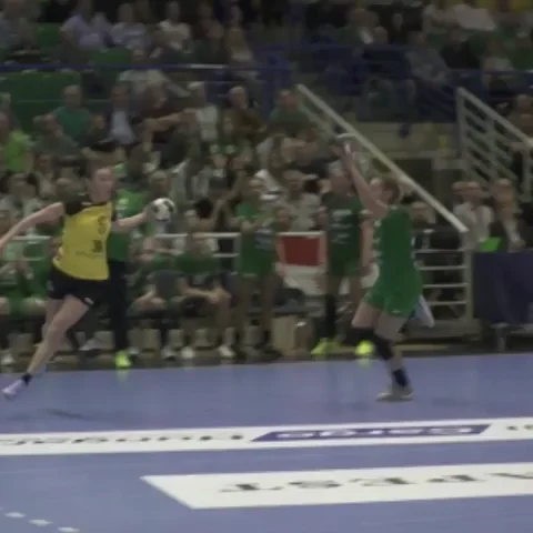 rostov-don handball GIF