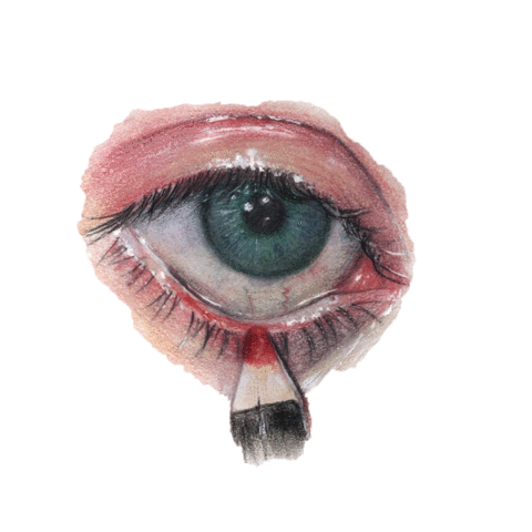 Illustration Sticker