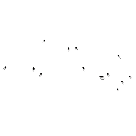 Mitica Motors Sticker