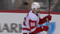 Red Wings Celebration GIF by Bally Sports Detroit
