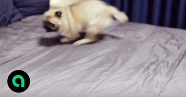 Start.io GIF