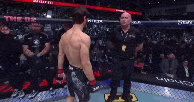 London Ufc GIF
