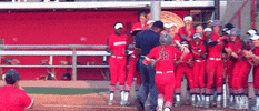 home run celebration GIF by Coogfans