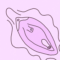 200.gif
