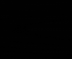 Son GIF