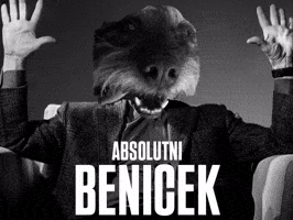 Dog Ben GIF