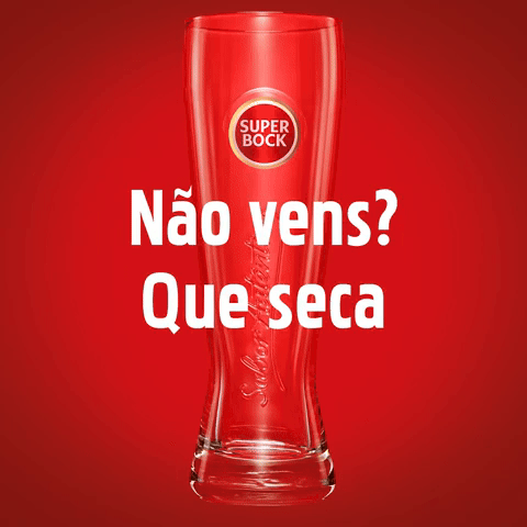 Super Bock Friends GIF by Live Content