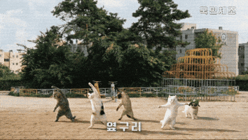 국민체조 GIF