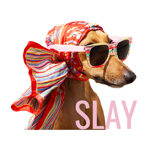 Italian Greyhound Icon Sticker by Iggy Joey