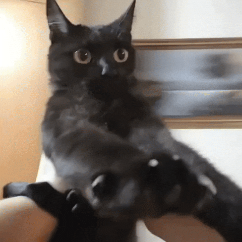 Weewee GIF