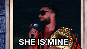 Seth Rollins Wwe GIF